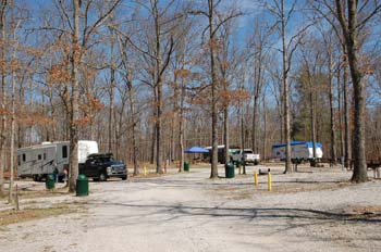 arnold afb11