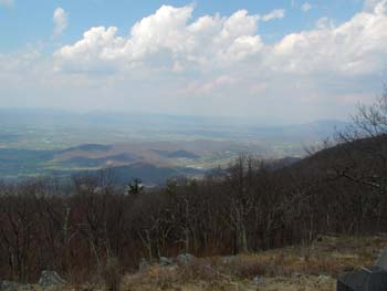 bigmeadows14