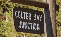 colter bay01