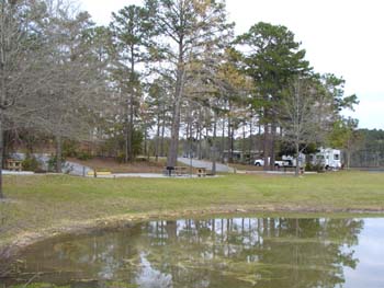 cottonhill9