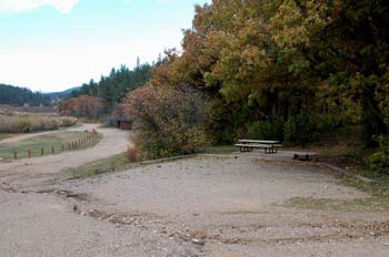 coyote creek12