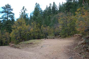 coyote creek13