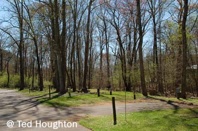 david crockett04