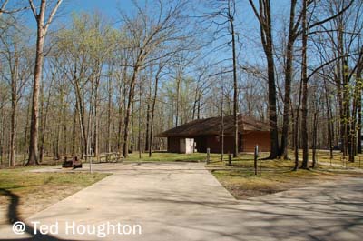 david crockett25