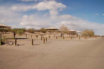 elephant butte11