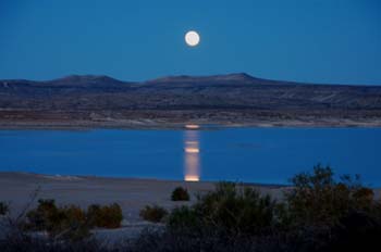 elephant butte34