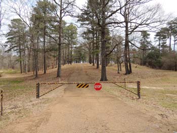elmers hill02