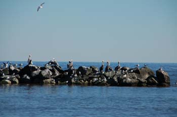 grand isle26