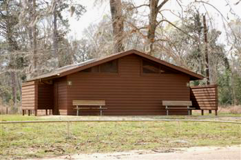 magnolia05
