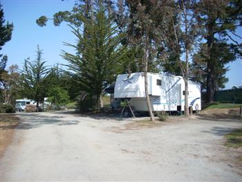 monterey11