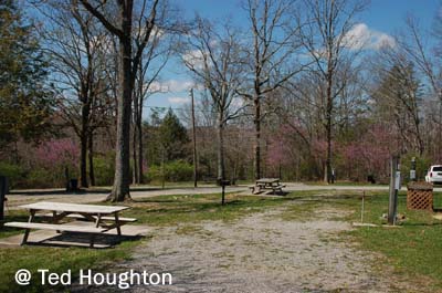 meadow park14