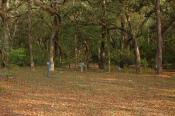 otter springs18