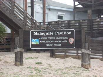 padre island19
