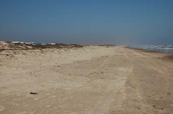 padre island34