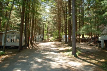 partridge hollow06
