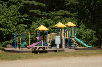 partridge hollow12