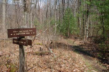 stonyfork19