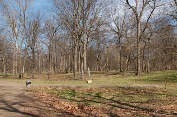 warfield point17