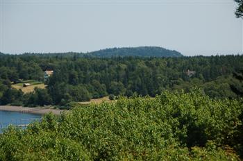 campobello15