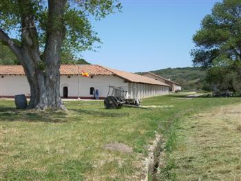 purisima03