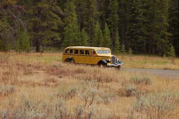 yellowstone003