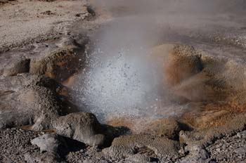 yellowstone083