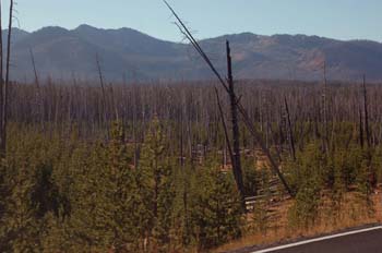 yellowstone150