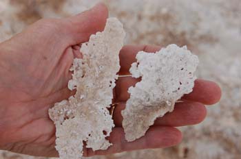 white sands10